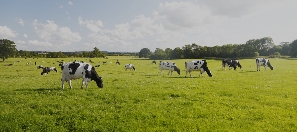 Rvs procestanks en opslagtanks voor melk en overige zuivelproducten